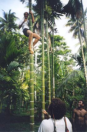Jesse climbing a buai palm